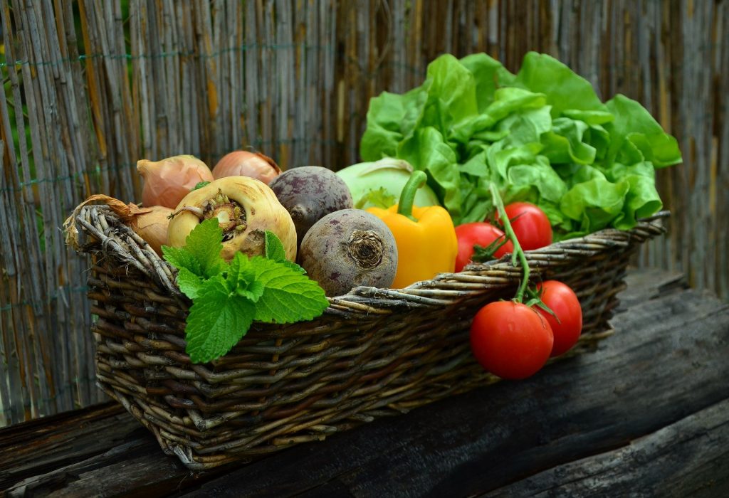 Vegetais representando alimento saudável necessário para a orientação nutricional