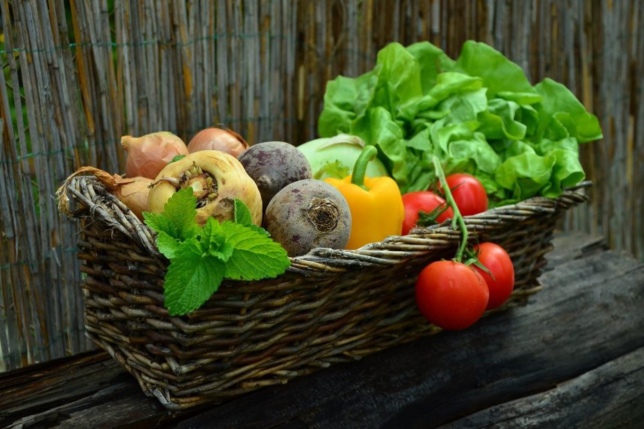 Vegetais representando alimento saudável necessário para a orientação nutricional